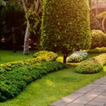 Features to Have in Your Garden