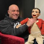 Joe Rogan net worth and career