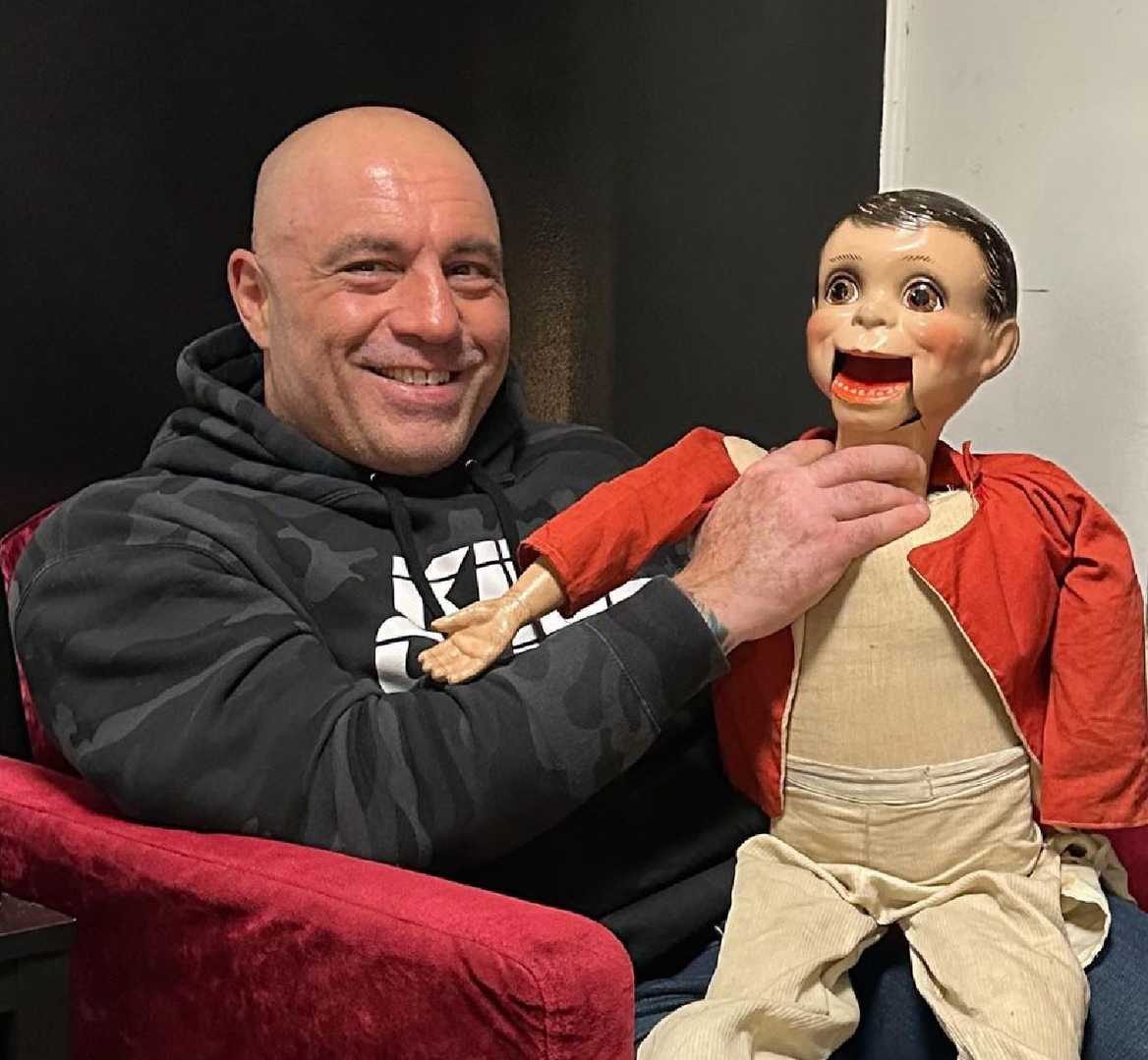 Joe Rogan net worth and career