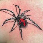 Spider tattoo